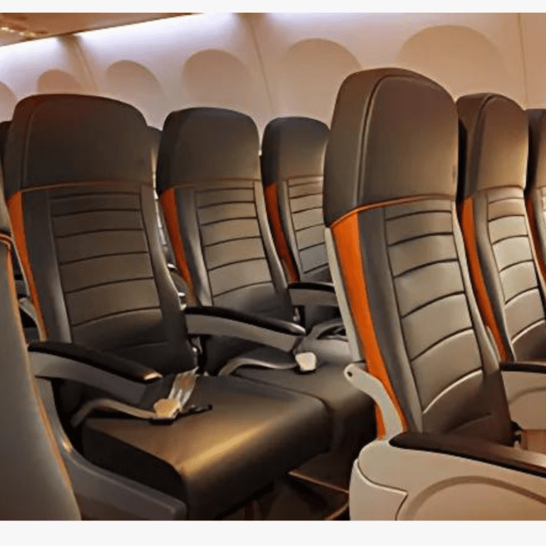 Transporte aéreo de cães de apoio emocional: uma análise jurídica e de segurança