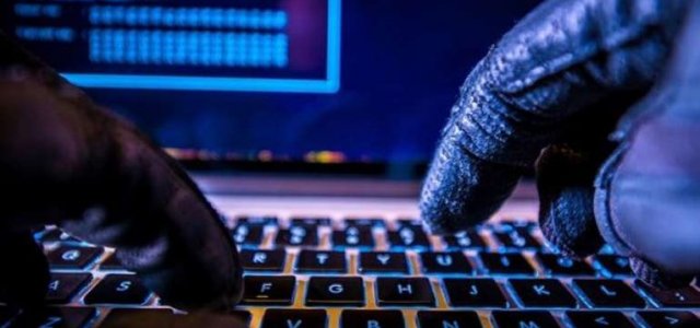 Exclusão da Responsabilidade dos Entes Bancários por Supostas Fraudes: A Falta de Dever de Cautela da Vítima